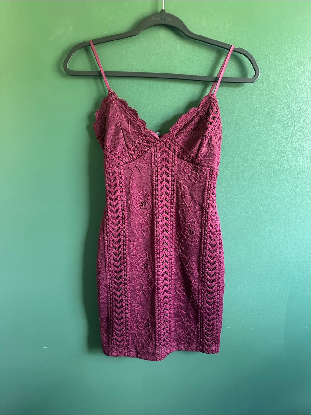 Dainty Hooligan Plum Floral Lace Mini Dress NWT